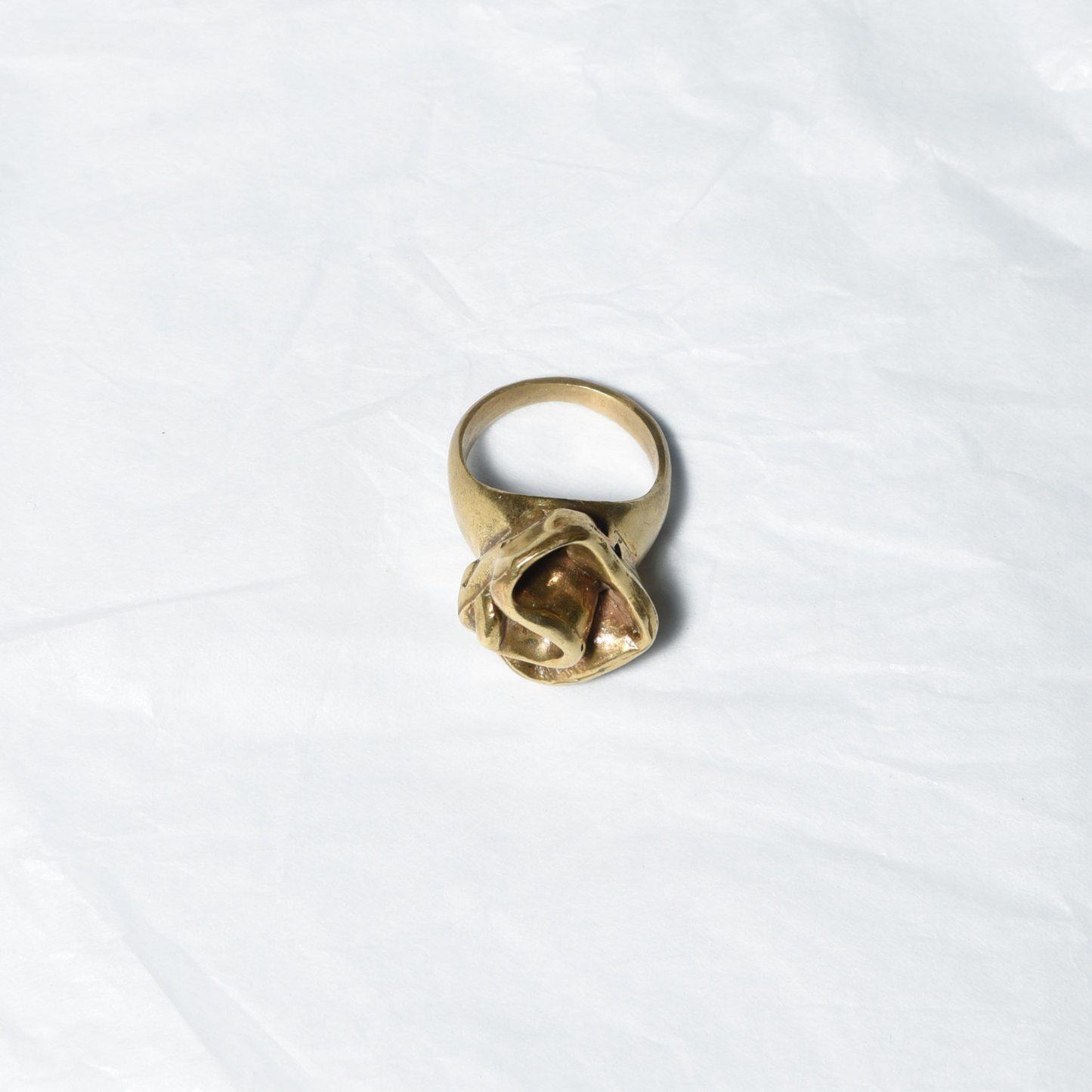 Anillo Coral