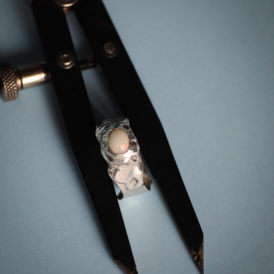 Anillo Magnetismo